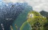 149494/3149618_f97a6c817c4e.jpg