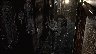 38477/2581745_90ba3bf270f1.jpg