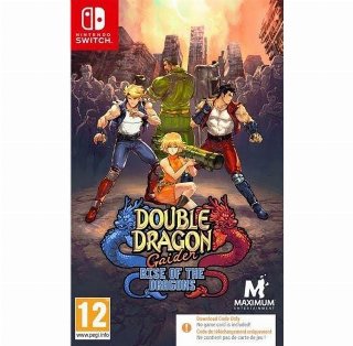 Double Dragon Gaiden: Rise of the Dragons (Code in a Box)