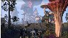 39406/2593279_47cd1b8bbef7.jpg