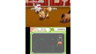 Rising Star Games Harvest Moon: Skytree Village - Nintendo 3DS