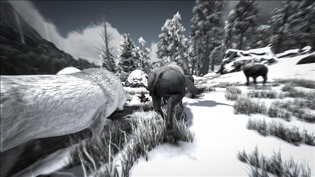 42385/2614555_26bf309f315d.jpg