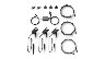 2699/2655389_2e9f585a3bbe.jpg
