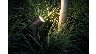 2791/2655390_c90da0b32794.jpg