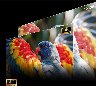 264766/3511649_8eb0469db0e4.jpg