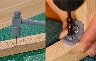 265144/3511701_ab920acb4e79.jpg