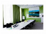 Draper Euroscreen Diplomat Electric Smart MOTOR 1:1 Format