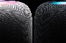 272184/d2000010011651803.jpeg