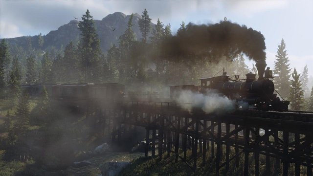 49358/2679788_b1e5575ba513.jpg