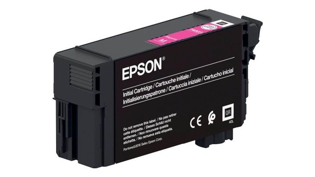 49615/2682358_d07d4895aba0.jpg