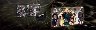 277517/xrcpu1-copy.webp