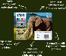 282180/d2000010011784206.jpeg