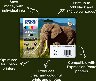 286445/d2000010011784395.jpeg