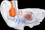 Shokz OpenRun Pro2 Mini Stereo Orange