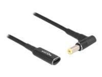DeLOCK - power connector adaptor
