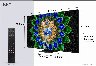 293892/3518479_1132e3fbcfb4.jpg