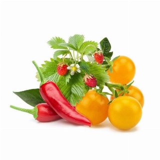 Click & Grow Click and Grow