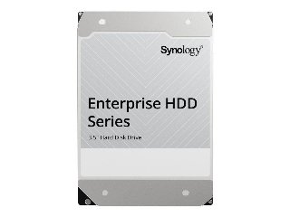 Synology Enterprise Series - 20 TB - 7200 rpm