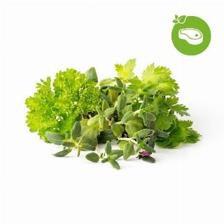 Click & Grow Smart Garden Refill 9-pack Grill & Steak Mix