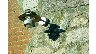 55835/2760166_c53da12aab93.jpg