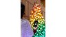 3707/2810485_c7d7748b2cf3.jpg