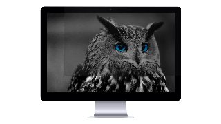 NATEC Owl, 61 cm (24), 16:9, Monitor, Rammeløst display privatlivsfilter, Privatliv