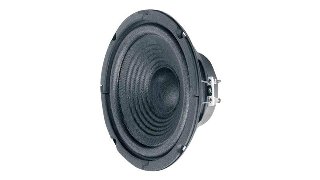 Visaton W 170 - speaker driver