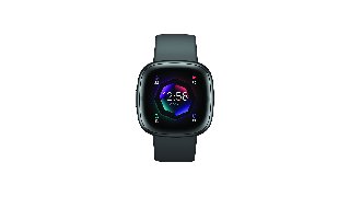 Fitbit Sense 2 Shadow Grey/Graphite