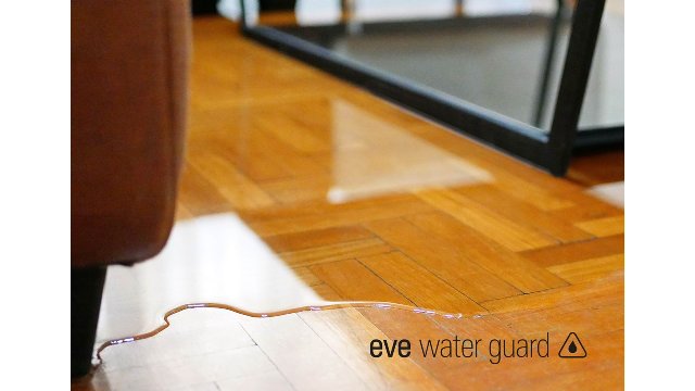 73509/3050169_4d1378ef66d2.jpg