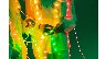 74138/3190179_9d5dc55f90f0.jpg