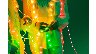 74331/3190170_0b1898a91b4b.jpg