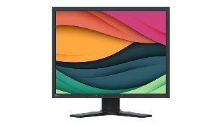 21" EIZO FlexScan S2134 - 1600x1200