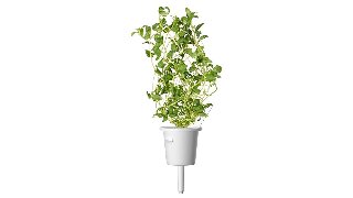 Click & Grow SGR41X3