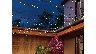 8346/3174960_75e61a65146b.jpg
