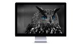 Natec OWL - Privacy-filter for skærm