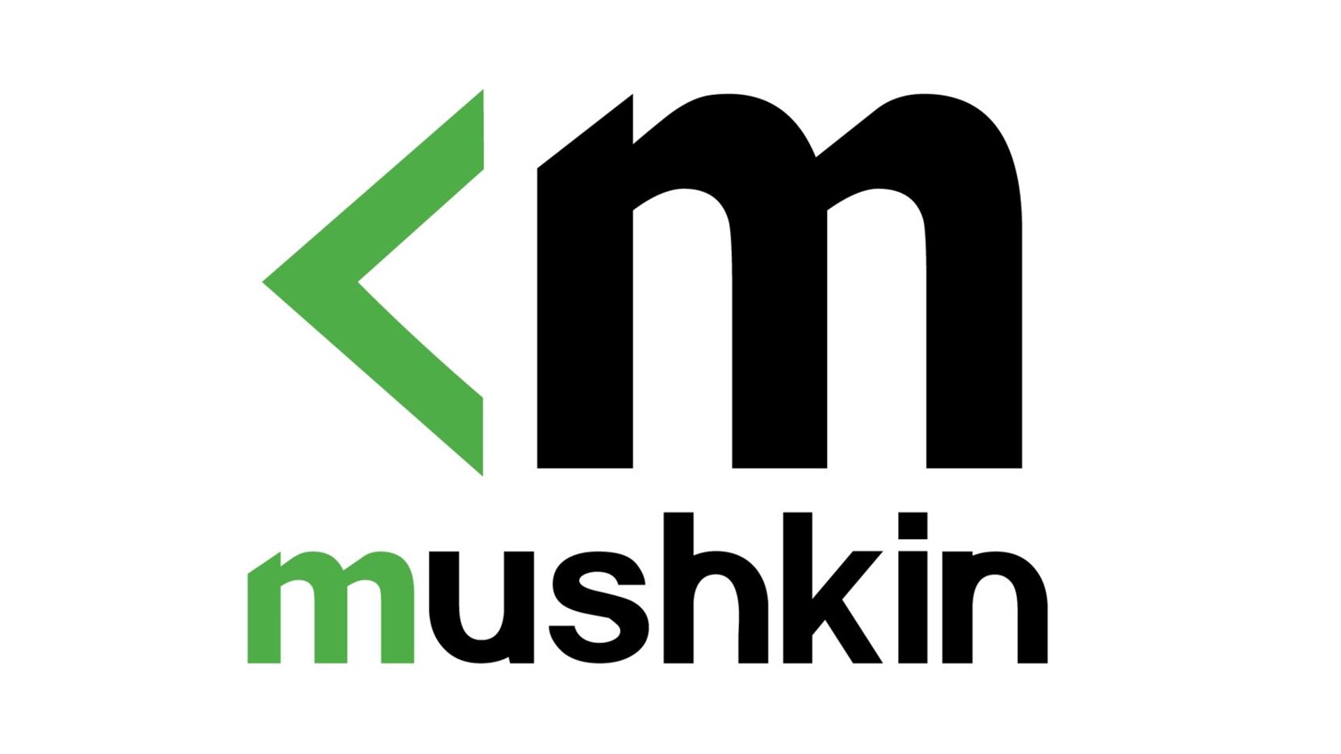 Mushkin MPL4R240HF16G24