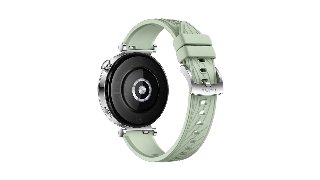 ARA-B19 55020CES