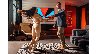 5228/3113968_f5ed0b8dcc67.jpg