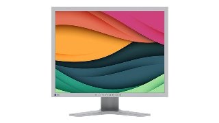 EIZO S2134-GY