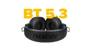 Niceboy hive-3-joy