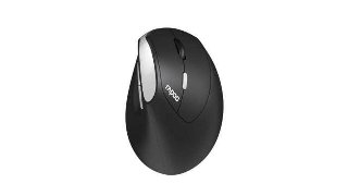 RAPOO EV250