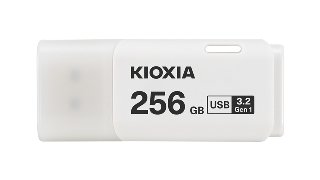 Kioxia TransMemory U301 - 256GB
