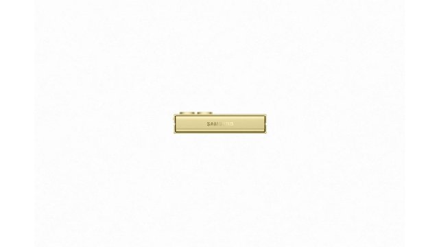 81243/3273889_5fd55e837341.jpg