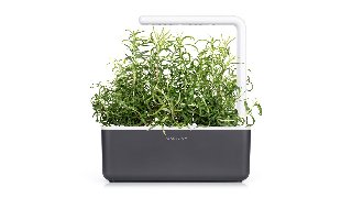 Click & Grow SGR51X3