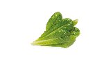 Click & Grow Smart Garden Refill 3-pack