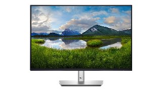 Dell DELL-P2425E