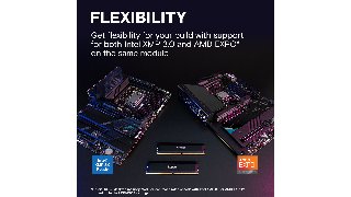Crucial CP16G60C36U5B