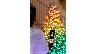 6822/3015705_190a58af65e9.jpg