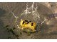 99514/3426096_9f4143bb4d68.jpg
