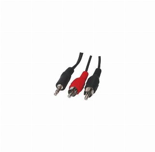 InLine 2 x RCA male